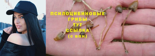марки lsd Ельня