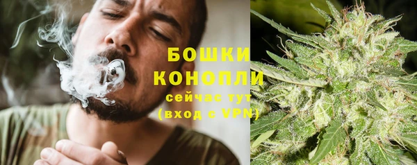ешки Елизово