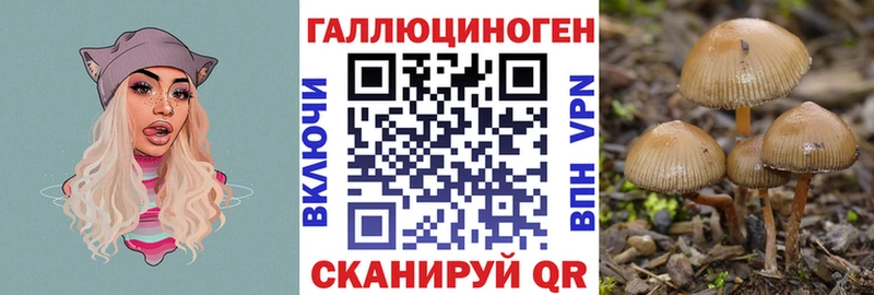 Псилоцибиновые грибы мухоморы  Торопец 